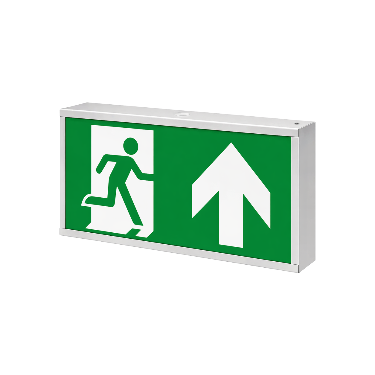 Vega LED Emergency Exit Box